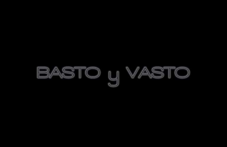 DIFERENCIA ENTRE BASTO y VASTO