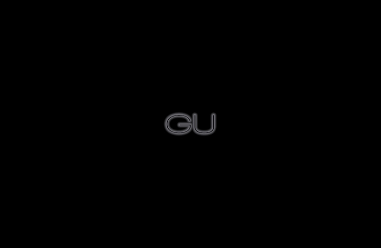 PALABRAS QUE COMIENZAN CON GU